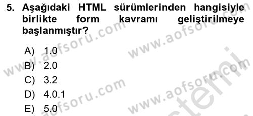 Web Arayüz Programlama Dersi 2024 - 2025 Yılı (Vize) Ara Sınav Soruları 5. Soru