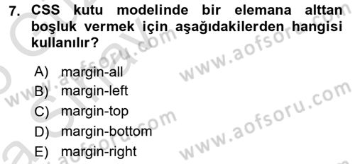 Web Arayüz Programlama Dersi 2024 - 2025 Yılı (Vize) Ara Sınav Soruları 7. Soru
