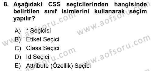 Web Arayüz Programlama Dersi 2024 - 2025 Yılı (Vize) Ara Sınav Soruları 8. Soru