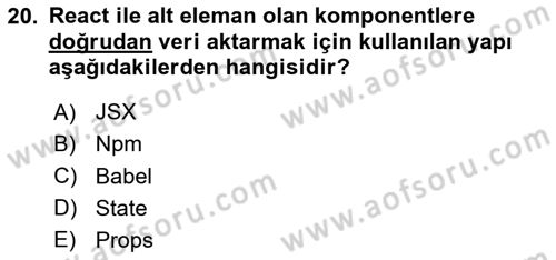 Web Arayüz Programlama Dersi 2024 - 2025 Yılı (Final) Dönem Sonu Sınav Soruları 20. Soru