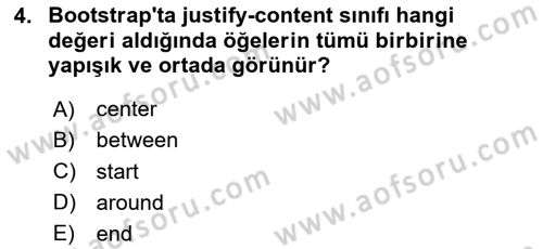 Web Arayüz Programlama Dersi 2024 - 2025 Yılı (Final) Dönem Sonu Sınav Soruları 4. Soru