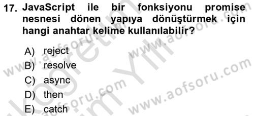 Web Arayüz Programlama Dersi 2024 - 2025 Yılı Yaz Okulu Sınav Soruları 17. Soru