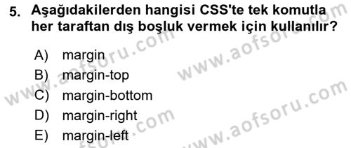 Web Arayüz Programlama Dersi 2024 - 2025 Yılı Yaz Okulu Sınav Soruları 5. Soru