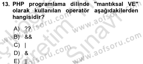 Web Sunucu Programlama Dersi 2023 - 2024 Yılı (Vize) Ara Sınav Soruları 13. Soru