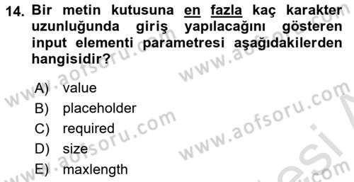 Web Sunucu Programlama Dersi 2023 - 2024 Yılı (Final) Dönem Sonu Sınav Soruları 14. Soru