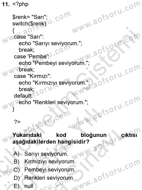 Web Sunucu Programlama Dersi 2024 - 2025 Yılı (Vize) Ara Sınav Soruları 11. Soru