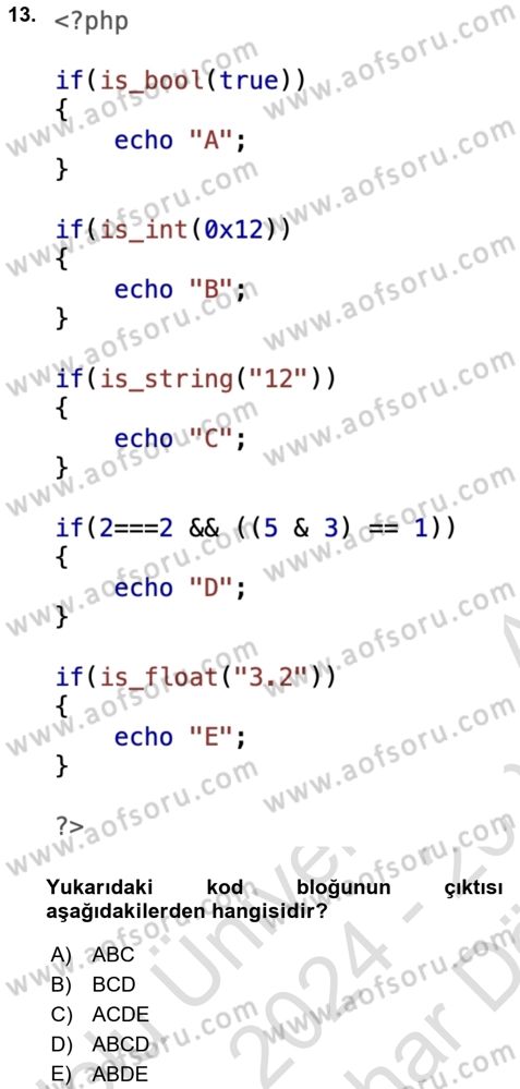 Web Sunucu Programlama Dersi 2024 - 2025 Yılı (Vize) Ara Sınav Soruları 13. Soru
