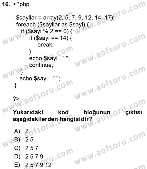 Web Sunucu Programlama Dersi 2024 - 2025 Yılı (Vize) Ara Sınav Soruları 16. Soru
