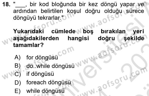 Web Sunucu Programlama Dersi 2024 - 2025 Yılı (Vize) Ara Sınav Soruları 18. Soru