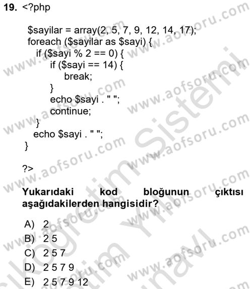 Web Sunucu Programlama Dersi 2025 - 2026 Yılı (Vize) Ara Sınav Soruları 19. Soru