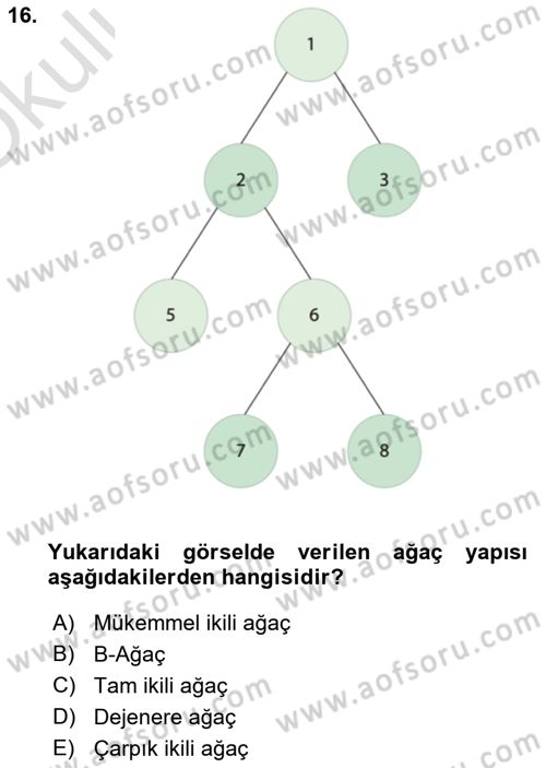 Veri Yapıları Dersi 2022 - 2023 Yılı Yaz Okulu Sınav Soruları 16. Soru