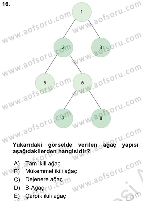 Veri Yapıları Dersi 2025 - 2026 Yılı (Final) Dönem Sonu Sınav Soruları 16. Soru