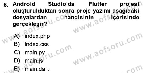 Mobil Uygulama Geliştirme Dersi 2022 - 2023 Yılı Yaz Okulu Sınav Soruları 6. Soru