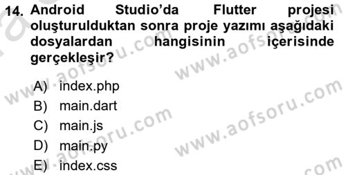 Mobil Uygulama Geliştirme Dersi Ara Sınavı Deneme Sınav Soruları 14. Soru