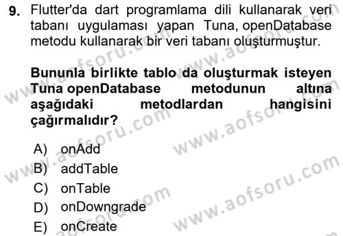 Mobil Uygulama Geliştirme Dersi 2023 - 2024 Yılı (Final) Dönem Sonu Sınavı 9. Soru