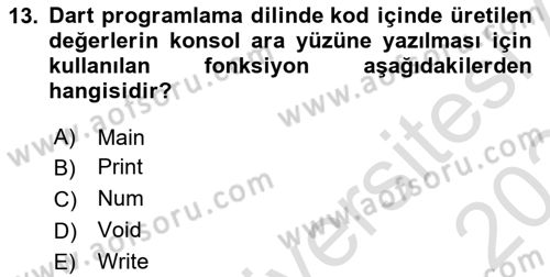 Mobil Uygulama Geliştirme Dersi 2023 - 2024 Yılı Yaz Okulu Sınav Soruları 13. Soru