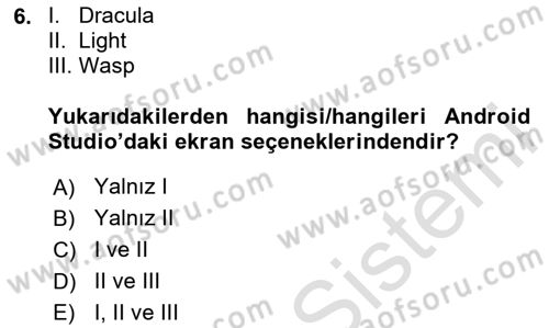 Mobil Uygulama Geliştirme Dersi 2023 - 2024 Yılı Yaz Okulu Sınav Soruları 6. Soru