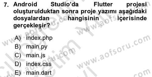 Mobil Uygulama Geliştirme Dersi 2023 - 2024 Yılı Yaz Okulu Sınav Soruları 7. Soru