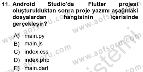 Mobil Uygulama Geliştirme Dersi Ara Sınavı Deneme Sınav Soruları 11. Soru