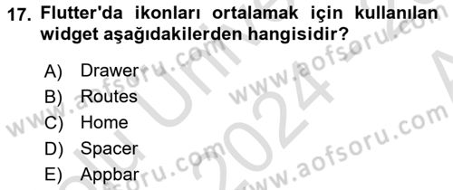 Mobil Uygulama Geliştirme Dersi Ara Sınavı Deneme Sınav Soruları 17. Soru