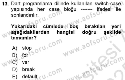 Mobil Uygulama Geliştirme Dersi 2024 - 2025 Yılı Yaz Okulu Sınav Soruları 13. Soru
