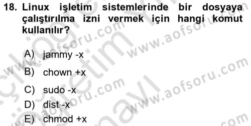Unix Sistem Yönetimi Dersi 2023 - 2024 Yılı Yaz Okulu Sınav Soruları 18. Soru