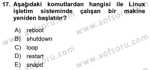 Unix Sistem Yönetimi Dersi 2024 - 2025 Yılı (Vize) Ara Sınav Soruları 17. Soru
