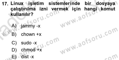 Unix Sistem Yönetimi Dersi 2024 - 2025 Yılı Yaz Okulu Sınav Soruları 17. Soru