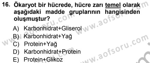 Genel Biyoloji 1 Dersi 2012 - 2013 Yılı (Vize) Ara Sınavı 16. Soru