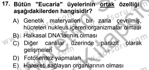 Genel Biyoloji 1 Dersi 2012 - 2013 Yılı (Vize) Ara Sınavı 17. Soru