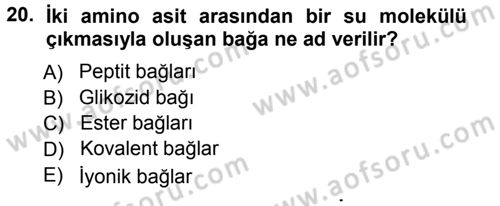 Genel Biyoloji 1 Dersi 2012 - 2013 Yılı (Vize) Ara Sınavı 20. Soru