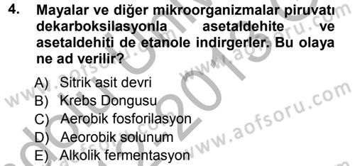 Genel Biyoloji 1 Dersi 2012 - 2013 Yılı (Vize) Ara Sınavı 4. Soru