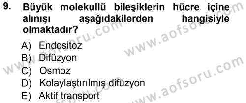 Genel Biyoloji 1 Dersi 2012 - 2013 Yılı (Vize) Ara Sınavı 9. Soru