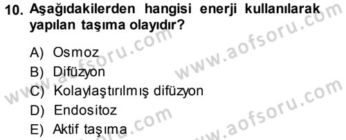 Genel Biyoloji 1 Dersi 2013 - 2014 Yılı (Vize) Ara Sınavı 10. Soru