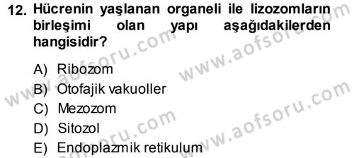 Genel Biyoloji 1 Dersi 2013 - 2014 Yılı (Vize) Ara Sınavı 12. Soru