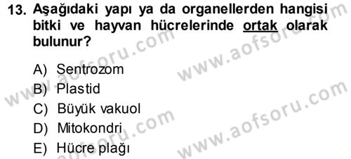 Genel Biyoloji 1 Dersi 2013 - 2014 Yılı (Vize) Ara Sınavı 13. Soru