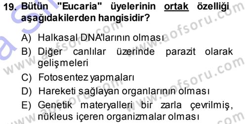 Genel Biyoloji 1 Dersi 2013 - 2014 Yılı (Vize) Ara Sınavı 19. Soru