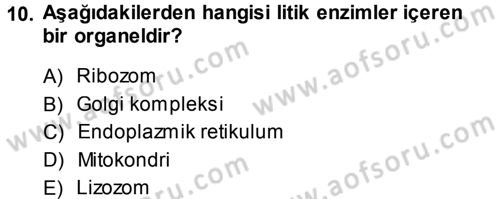 Genel Biyoloji 1 Dersi 2014 - 2015 Yılı (Vize) Ara Sınavı 10. Soru