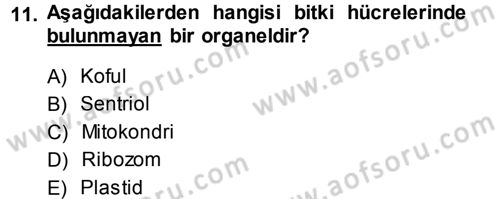 Genel Biyoloji 1 Dersi 2014 - 2015 Yılı (Vize) Ara Sınavı 11. Soru