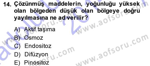 Genel Biyoloji 1 Dersi 2014 - 2015 Yılı (Vize) Ara Sınavı 14. Soru