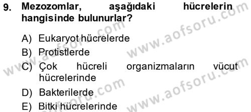 Genel Biyoloji 1 Dersi 2014 - 2015 Yılı (Vize) Ara Sınavı 9. Soru