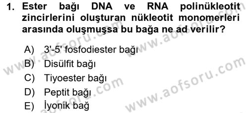 Genel Biyoloji 1 Dersi 2016 - 2017 Yılı (Vize) Ara Sınavı 1. Soru