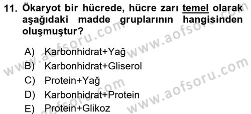 Genel Biyoloji 1 Dersi 2016 - 2017 Yılı (Vize) Ara Sınavı 11. Soru