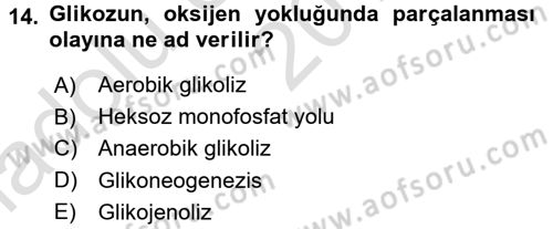 Genel Biyoloji 1 Dersi 2016 - 2017 Yılı (Vize) Ara Sınavı 14. Soru