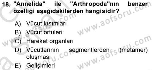 Genel Biyoloji 1 Dersi 2016 - 2017 Yılı (Vize) Ara Sınavı 18. Soru