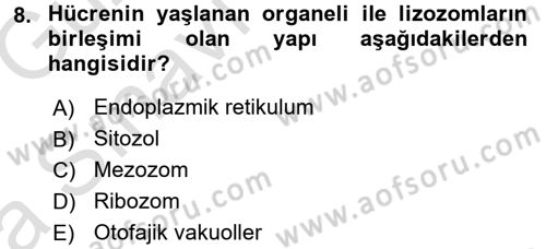 Genel Biyoloji 1 Dersi 2016 - 2017 Yılı (Vize) Ara Sınavı 8. Soru