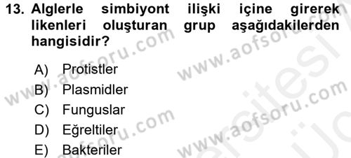 Genel Biyoloji 1 Dersi 2017 - 2018 Yılı 3 Ders Sınavı 13. Soru