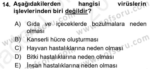 Genel Biyoloji 1 Dersi 2017 - 2018 Yılı 3 Ders Sınavı 14. Soru