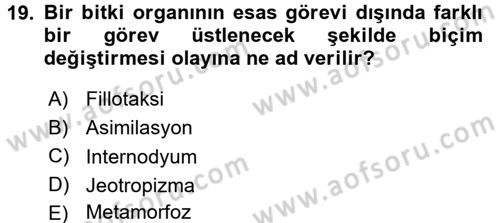 Genel Biyoloji 1 Dersi 2017 - 2018 Yılı 3 Ders Sınavı 19. Soru