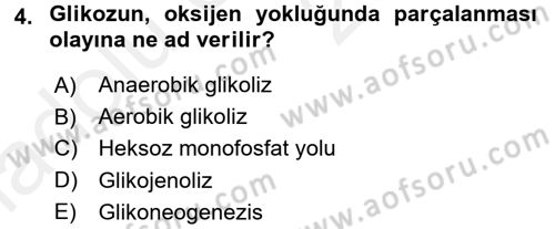 Genel Biyoloji 1 Dersi 2017 - 2018 Yılı 3 Ders Sınavı 4. Soru